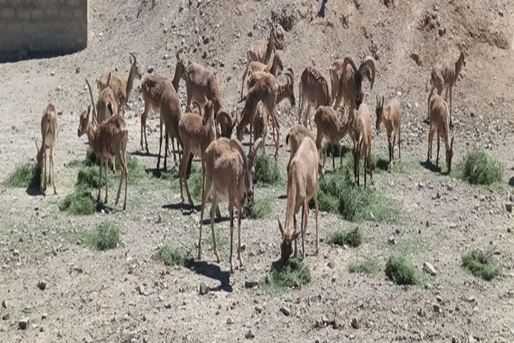 [query-result:espagetitle]